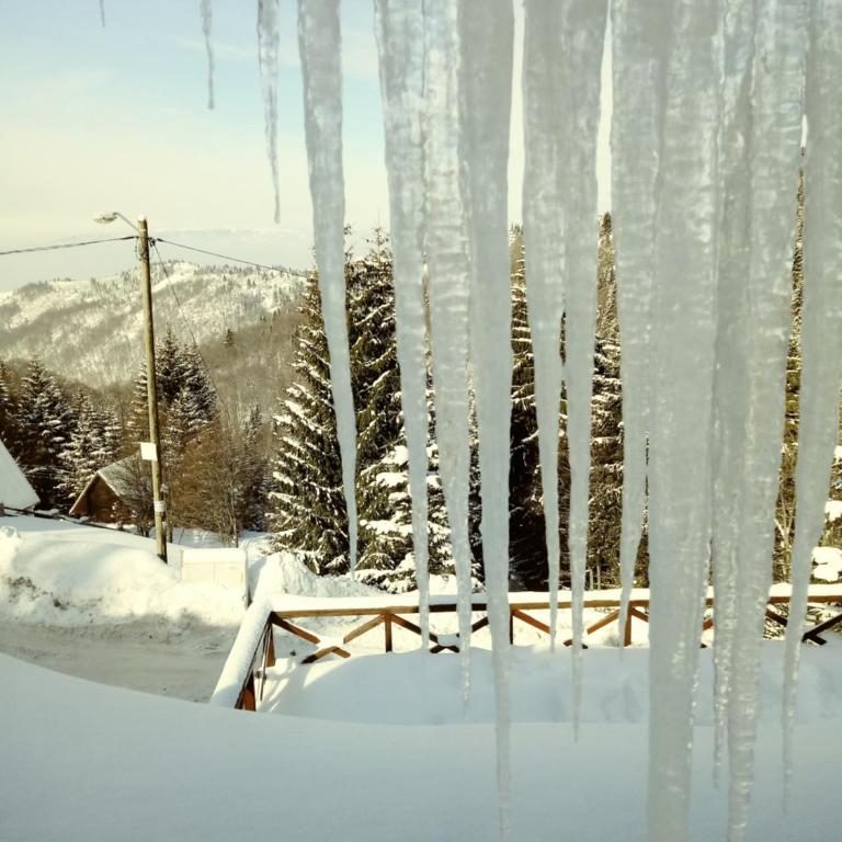 Chalet Diana - Vacation Home - 5