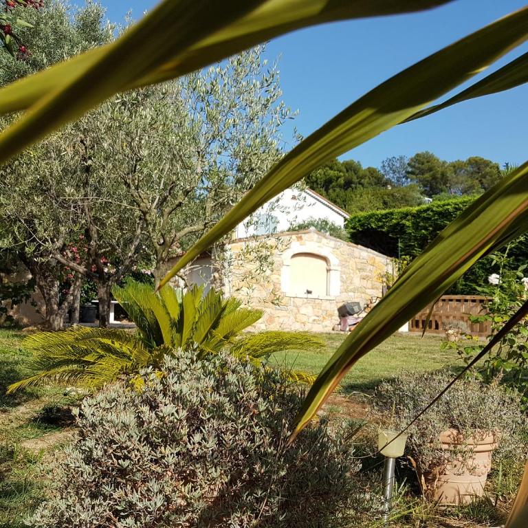 Mougins Mas lumineux vue sur le village - Villa 3 Chambres - 25