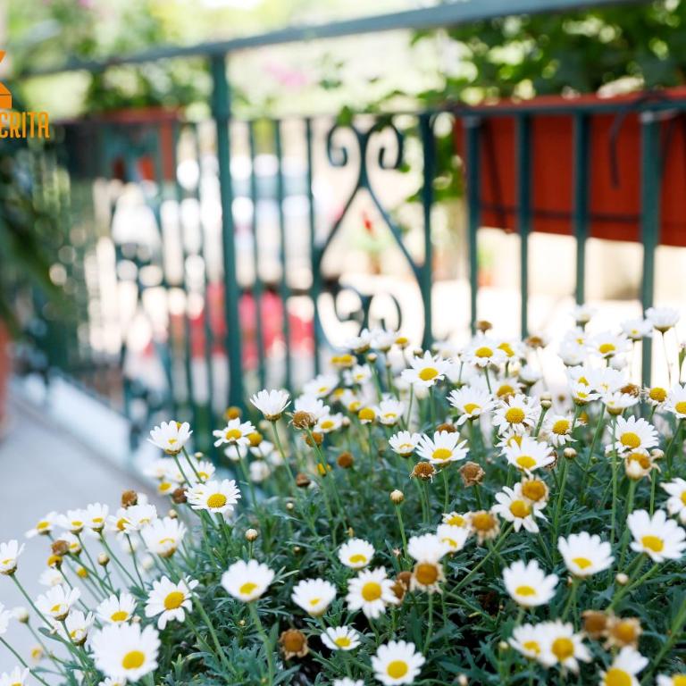 I Fiori di Margherita Luxury B&B - Camera Superior Matrimoniale/Doppia con Letti Singoli con Vista Città - 1