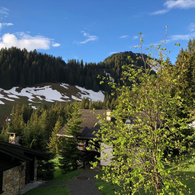 Chalet LYS Apartment 14 Rue Sigma - Apartment - 33