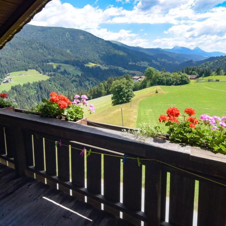 Gailerhof - Studio mit Bergblick - 3