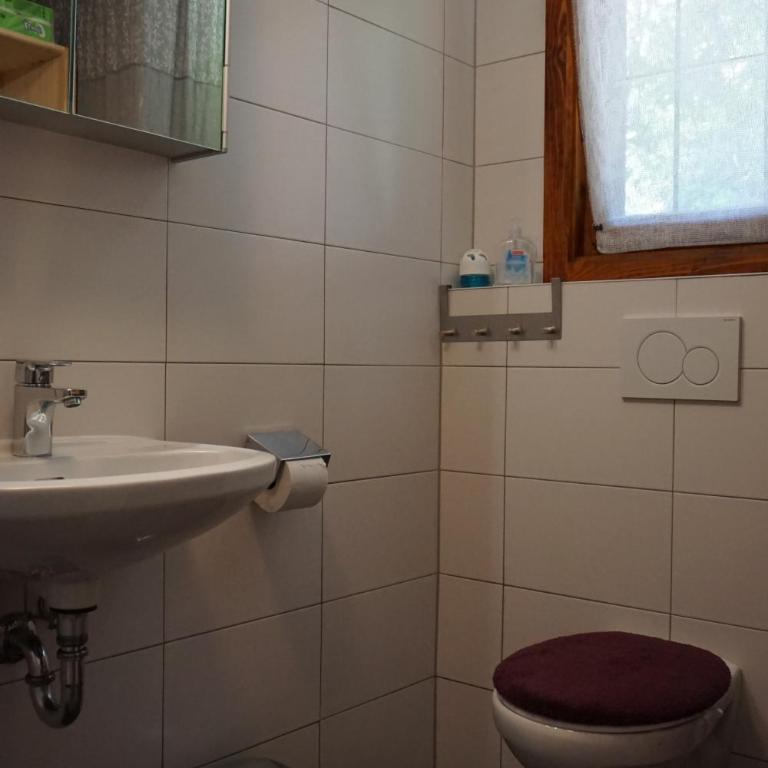 Chalet Katrin - Chalet - 19
