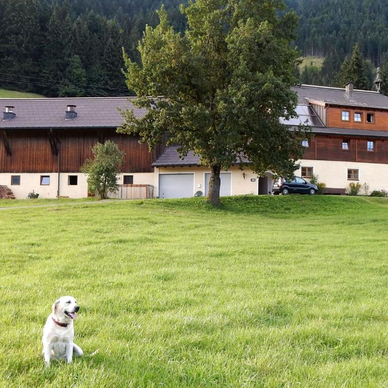 Kiblerhof - Apartment mit Blick auf die Berge - 4