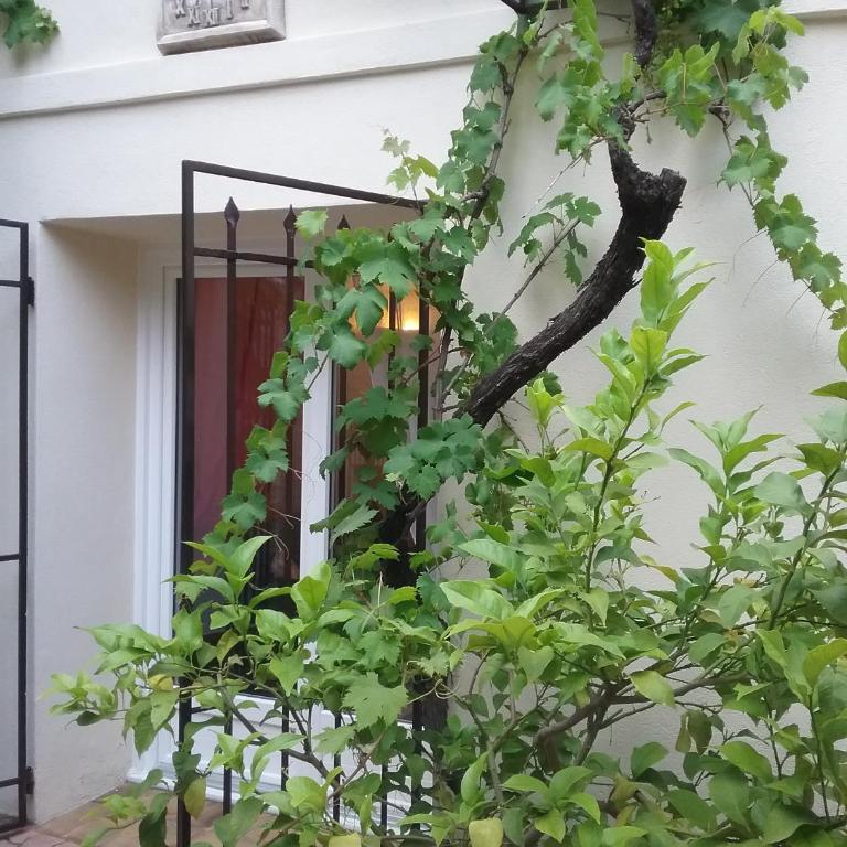 La Plenitude - Apartment - 4