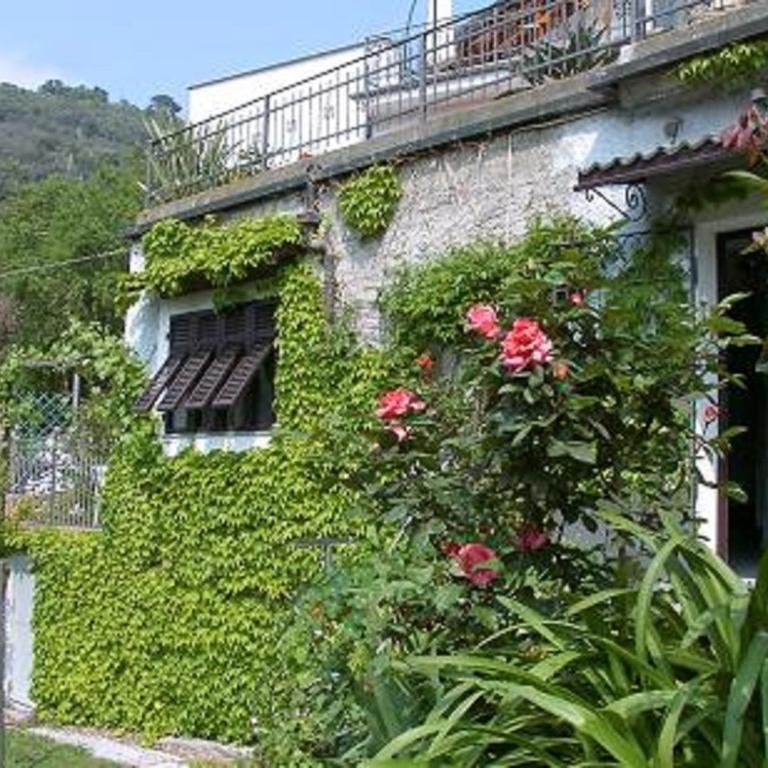Casa Blu - Appartamento - Piano Terra - 4