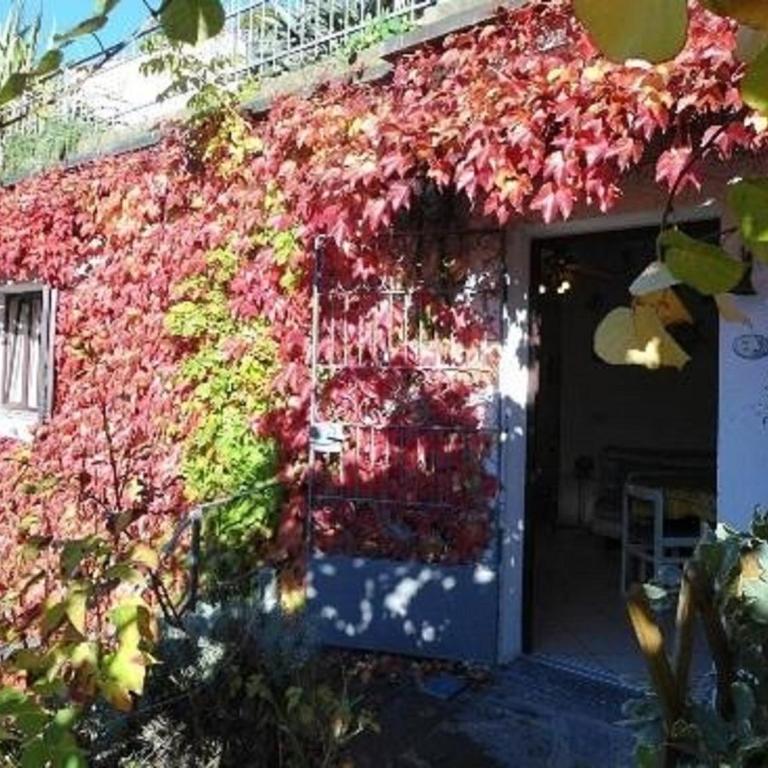 Casa Blu - Appartamento - Piano Terra - 6