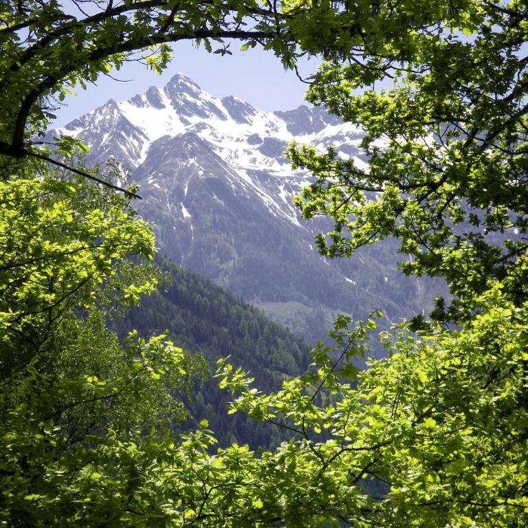 Pension Garni Burgwies ink Nationalpark Sommercard - Doppelzimmer mit eigenem Bad - 6