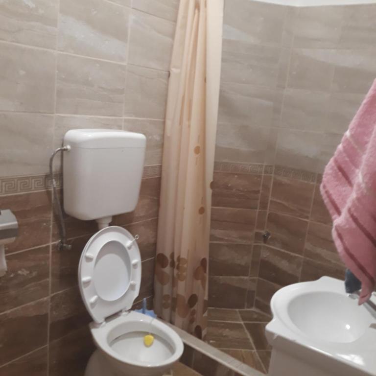 Apartmani Kosjerina - Apartman - Prizemlje - 5
