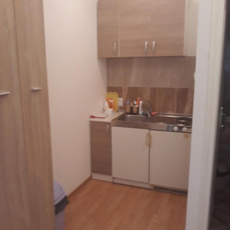 Apartmani Kosjerina - Apartman - Prizemlje - 3