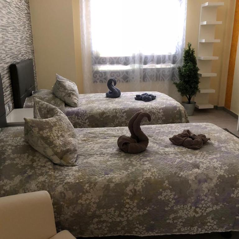 Vivienda Sara - Apartamento - 7