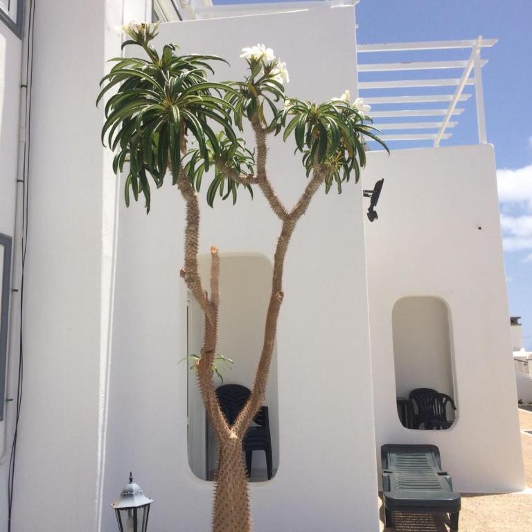 Los Panelos B1 - Apartamento - Planta baja - 30