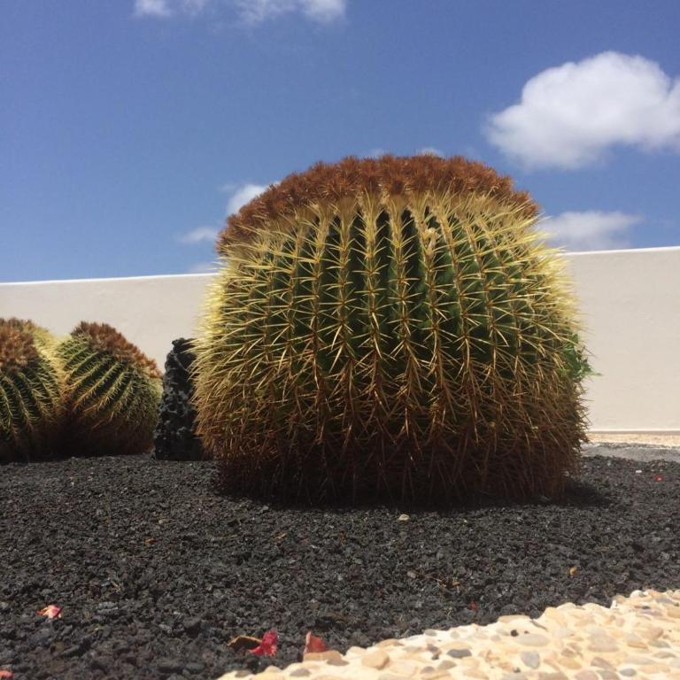 Los Panelos B1 - Apartamento - Planta baja - 26