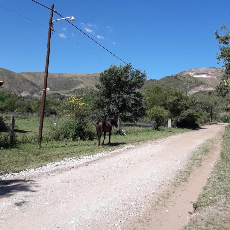 La Popelina - Casa de 3 dormitorios - 28