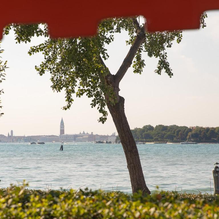Bellavista SanMarco Venice and lagoon view - Apartamento - 15