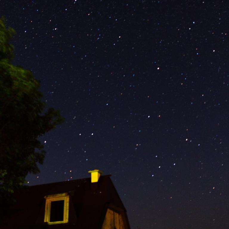 Maple village - Four-Bedroom House - 6