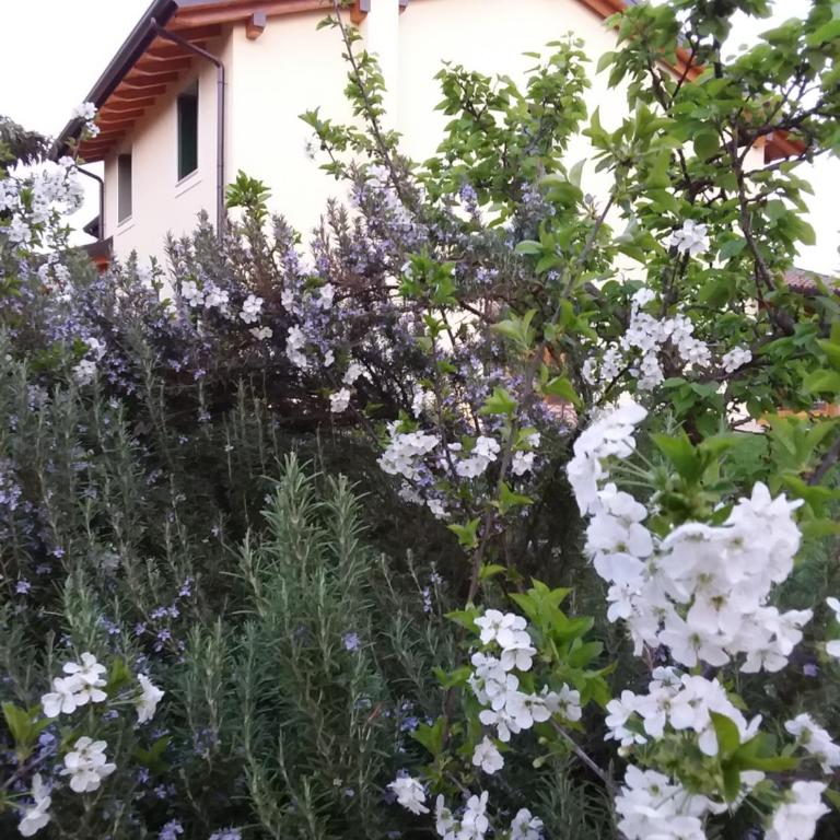 “Al Campo” - Double Room with Private Bathroom - 12