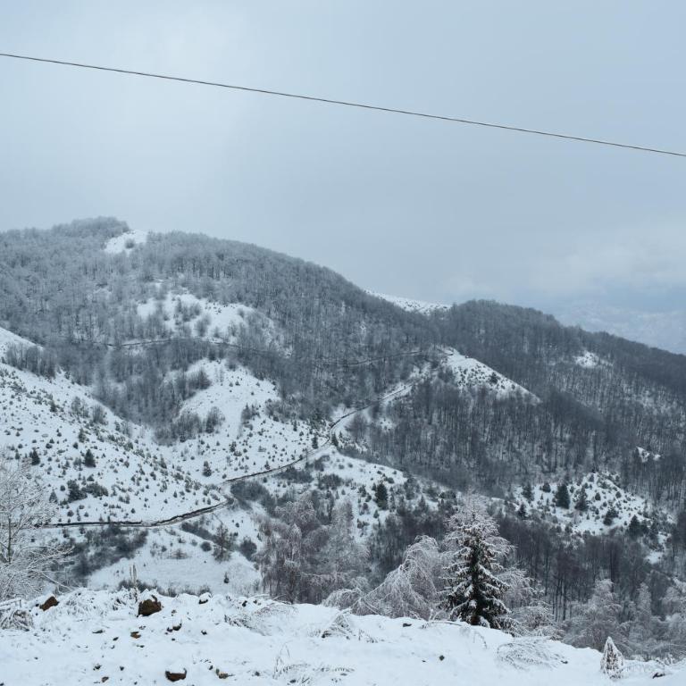 Apartment Andrijana - Apartment with Mountain View - 22