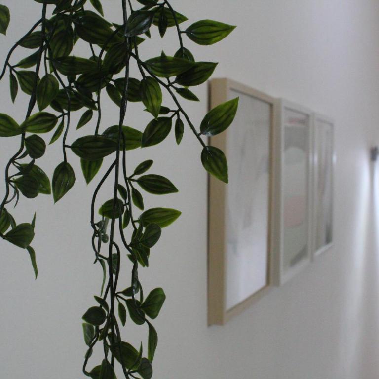 Santa Croce Exclusive - Appartamento Standard - 16