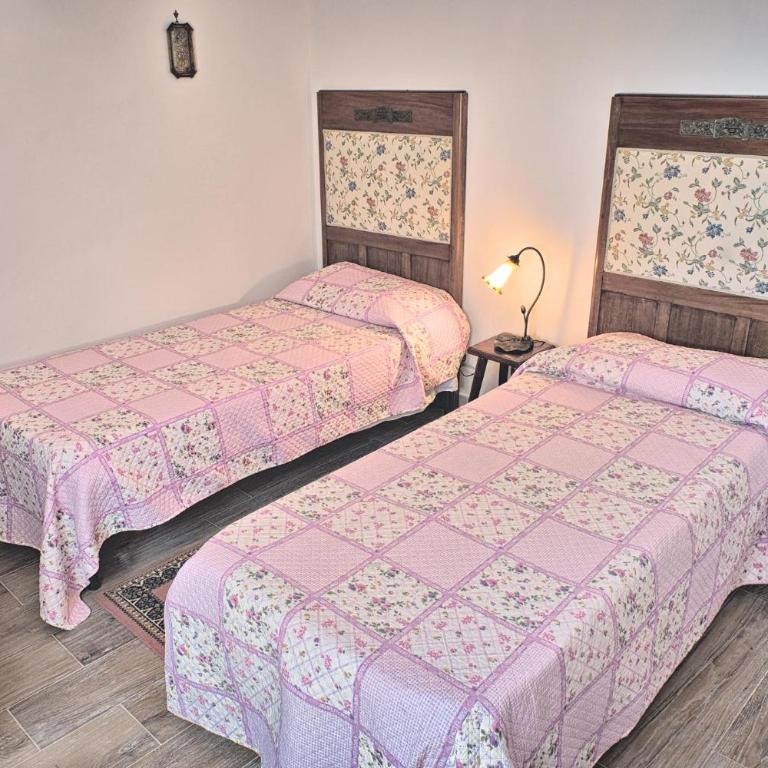 Agrihouse - Appartamento - 7