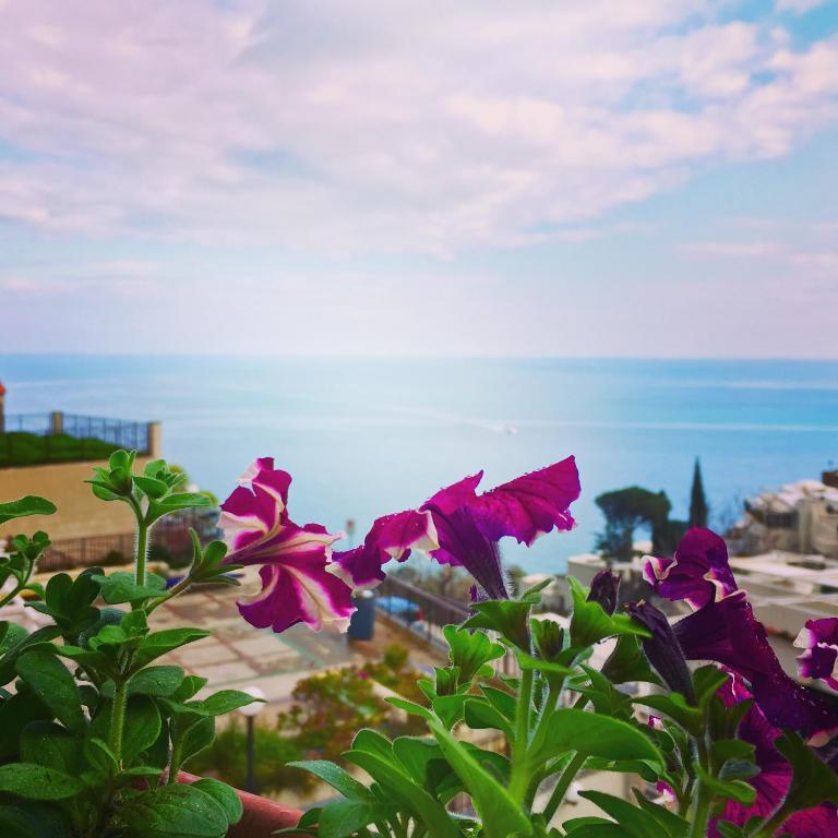 Hotel Villa Delle Palme in Positano - Camera Matrimoniale/Doppia con Letti Singoli con Balcone - 3