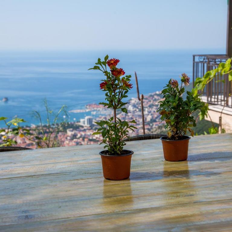 Villas Adriatic Horizonte - Vila sa Sopstvenim Bazenom - 2