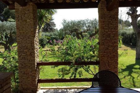 La Finestra su Mothia - Villa - 6
