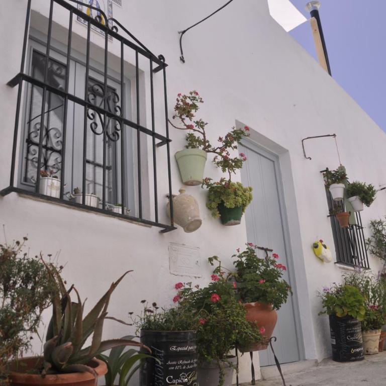 Vivienda Turistica de Alojamiento Rural Silla Vieja 11 - Apartamento - 11