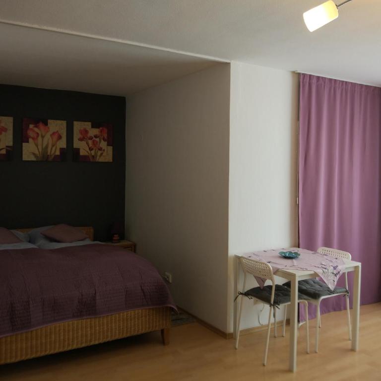 HAUSBURG studio. City view - Apartamento con balcón - 11