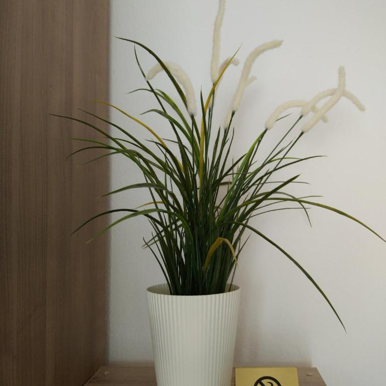 HAUSBURG studio. City view - Apartamento con balcón - 6