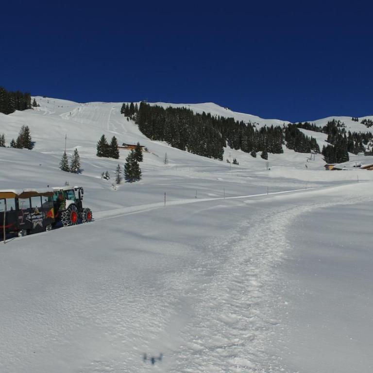 Ski In-Ski Out - Gästehäuser Saalbach-Hinterglemm - Wallegghof Christianhof - Haus mit 7 Schlafzimmern - 5