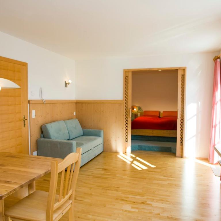 Appartements Birnbaumer - Apartment mit 1 Schlafzimmer und Terrasse - 4