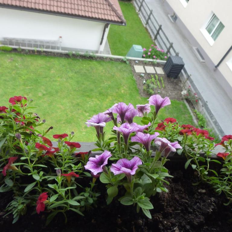 Pension zu Hause - Familienzimmer mit eigenem Bad - 8