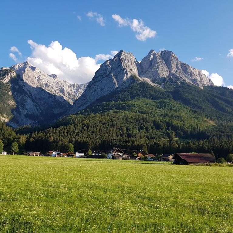 Landhaus Waldrebe - Apartment mit Blick auf die Berge - 7