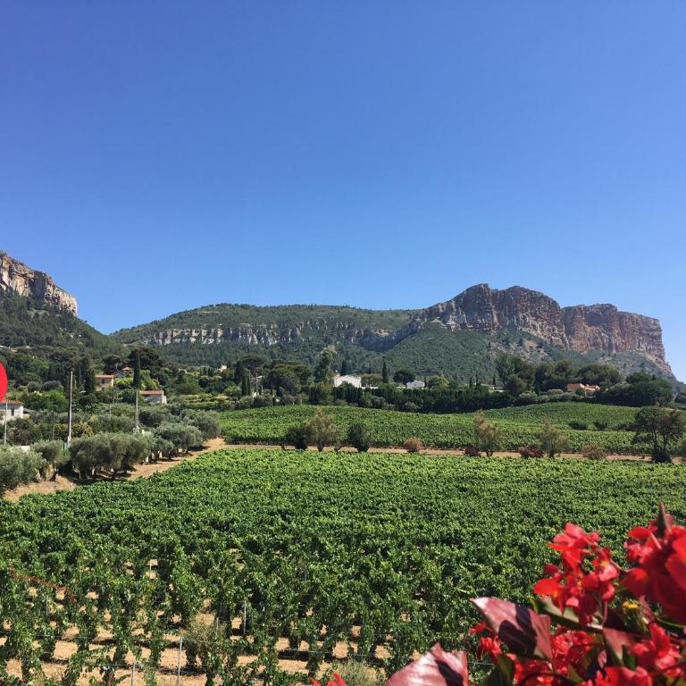Large private garden, quiet 2-bedroom apartment, air conditioning, wifi, parking - Appartement - 39