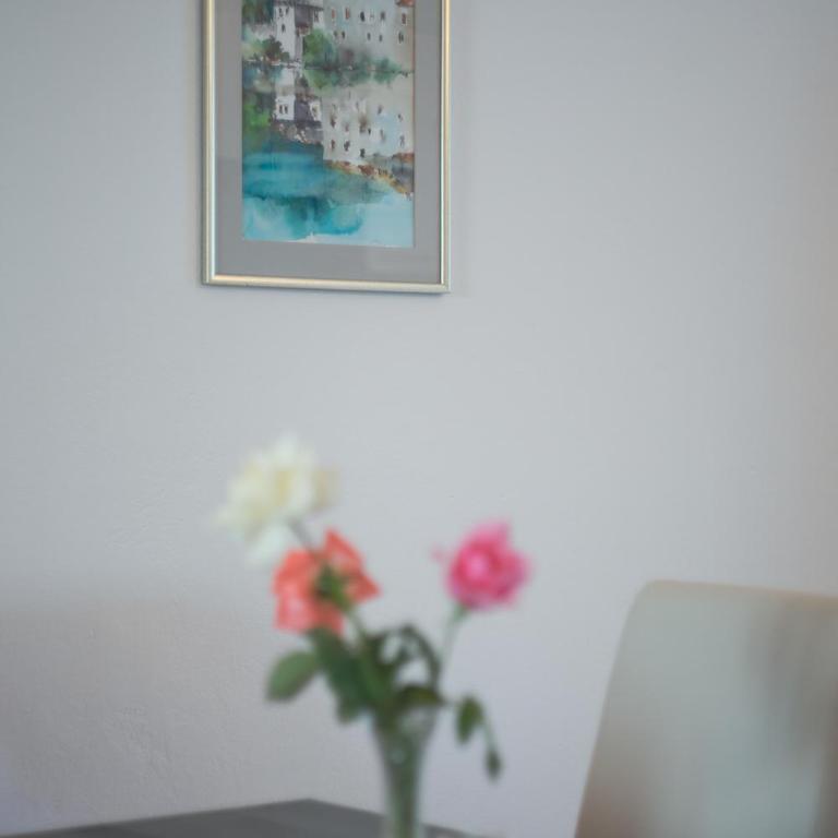 Apartment Maric - Apartman sa 2 Spavaće Sobe - 29