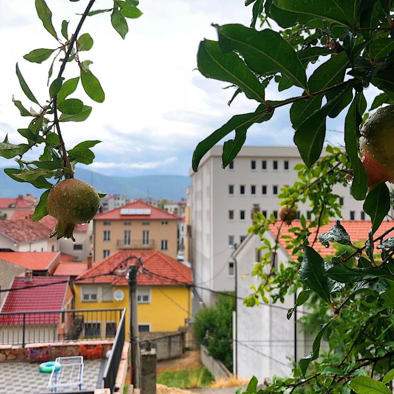 Apartman Tajma - Apartman sa 1 Spavaćom Sobom - 2