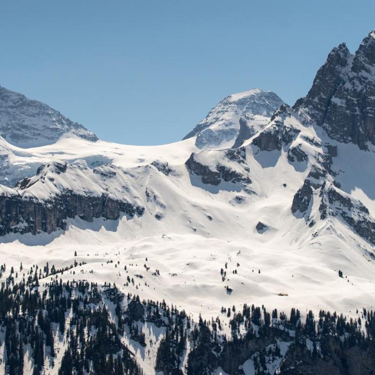 Sportchalet Mürren - Einzelbett im gemischten Schlafsaal - 1