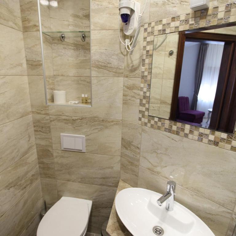 Apis Hotel - Deluks Dvokrevetna Soba sa Bračnim Krevetom - 4