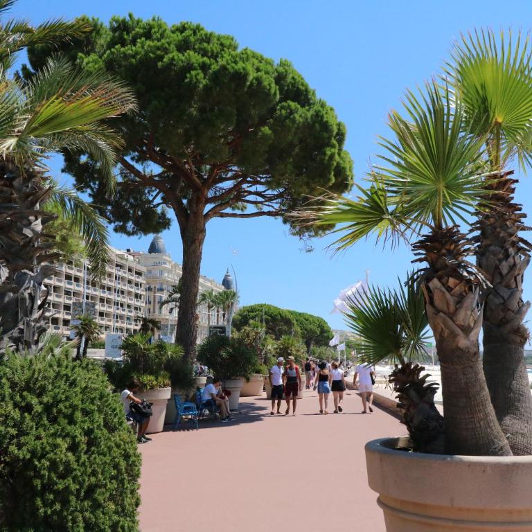 2 bedroom, 2 bathrooms, 2 mins from the Croisette, Monod 348 - Appartement 2 Chambres - 18