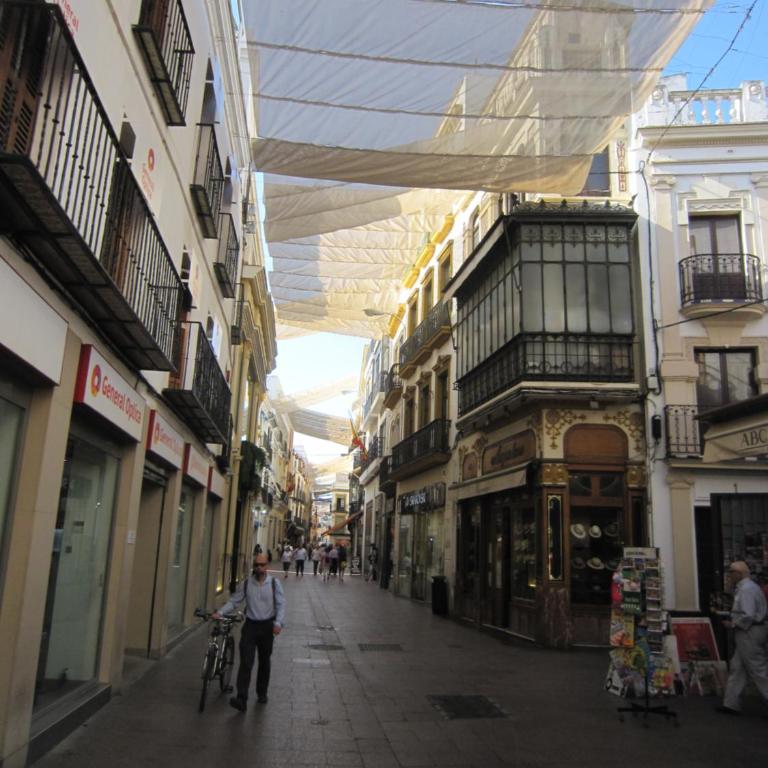 Apartamento céntrico Plaza del Salvador - Apartamento - 16