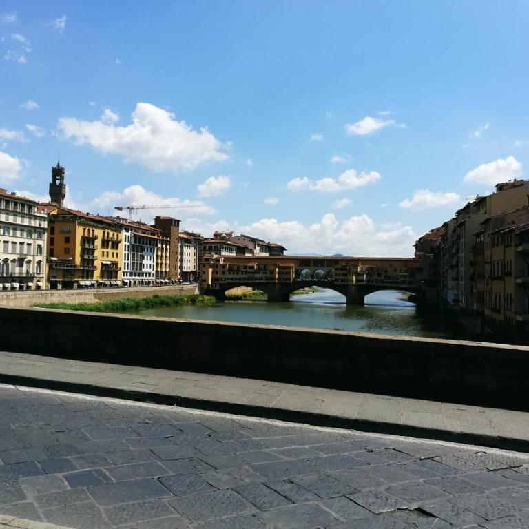 Maffia Luxury - Appartamento - 17