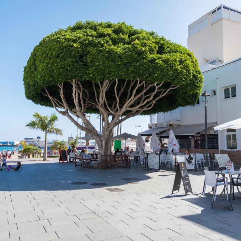 MODERN APARTMENTS LOS CRISTIANOS CENTER - Apartamento con terraza - 66