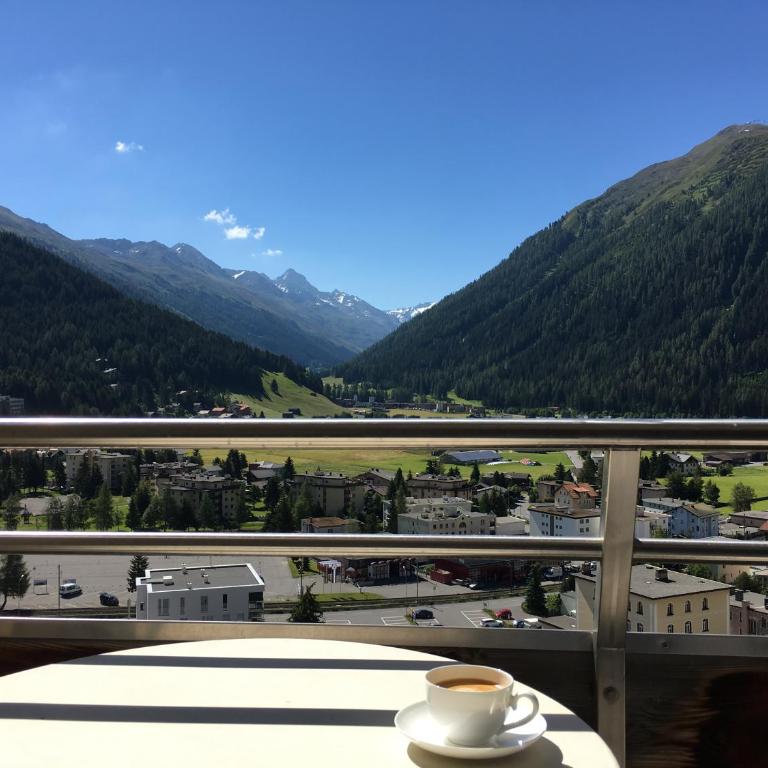 Spectacular View & Central Location in Davos - Apartment - 24