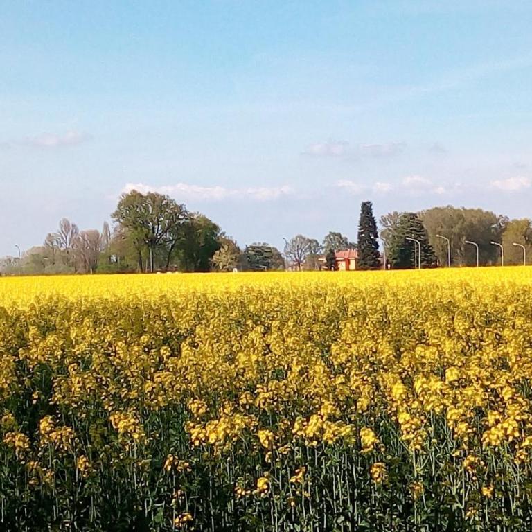 Il Fienile, casa vacanza in campagna con parcheggio privato e giardino privato, a 6 chilometri da Bologna centro e 1 chilometro da Bologna Fiera, Parco commerciale Meraville e Gran Tour Italia - Apartment - Split Level - 25