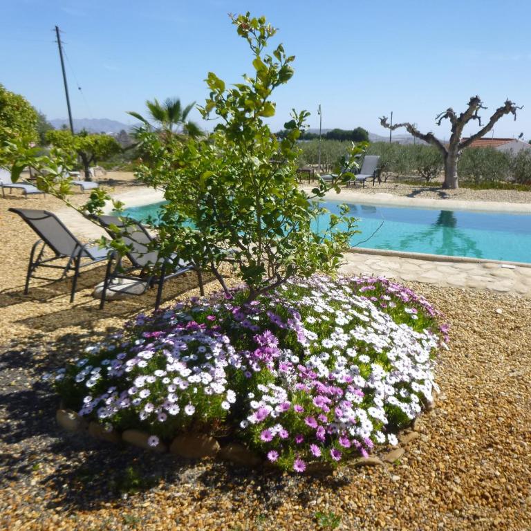 Finca Arboleda - Casa de 2 dormitorios - 15