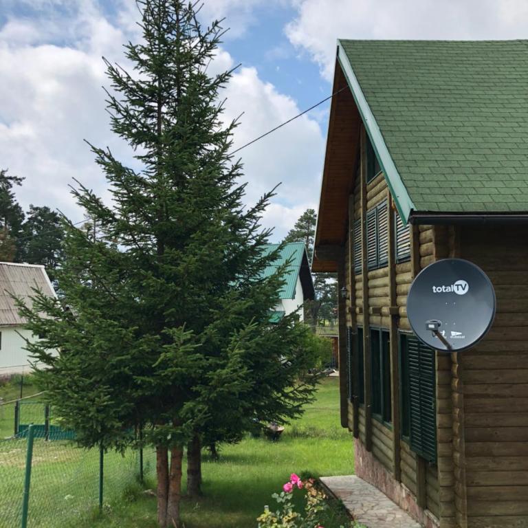 Kuca u borju - House in pines - One-Bedroom Apartment - 27