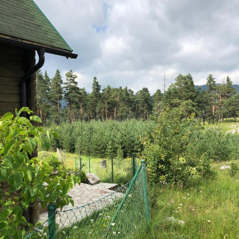 Kuca u borju - House in pines - One-Bedroom Apartment - 30