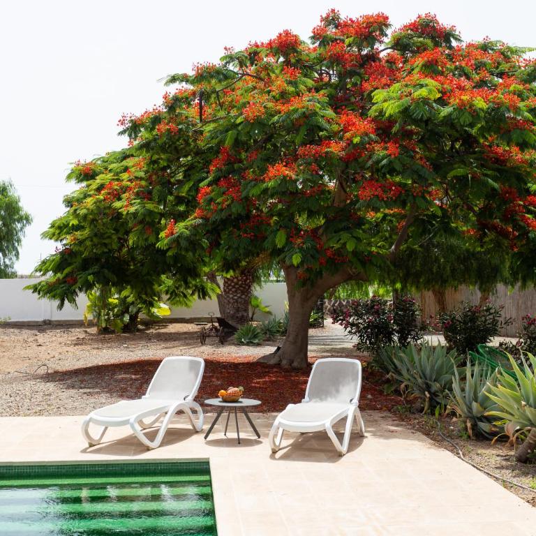 Caserío de Guaza - Three-Bedroom Vacation Home - 4