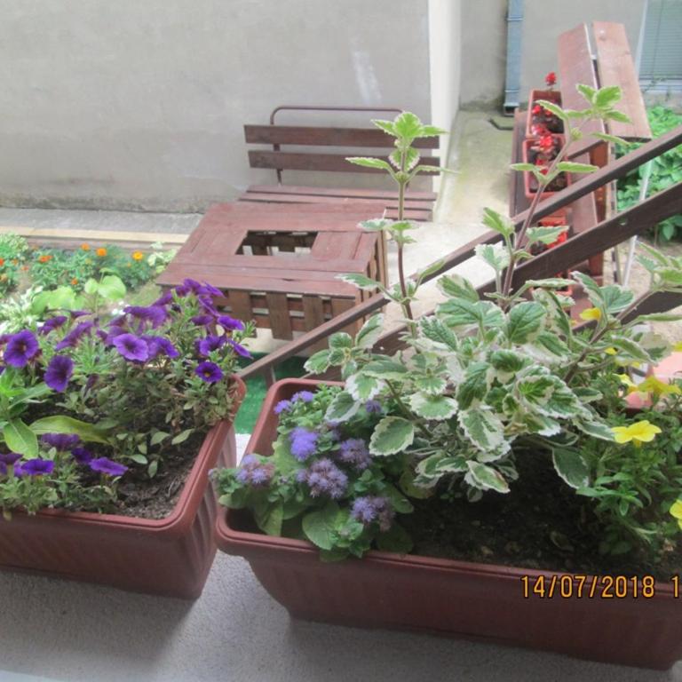 Kuća Popović Apartments - Studio Apartman - 7