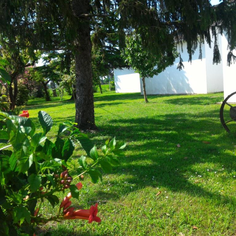 Bungalow bei Emma - Casa con 2 Camere da Letto - 2